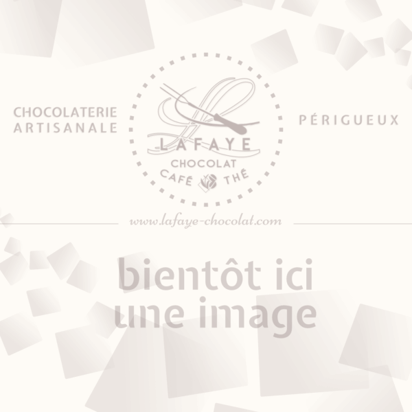 Ourson de Noël en chocolat