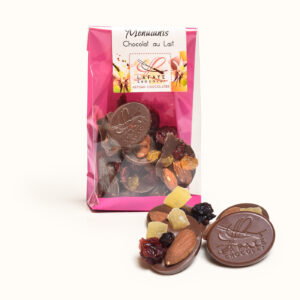Mendiants chocolat lait 100g